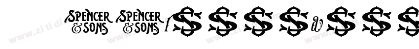 016 SSruiyuanti字体转换